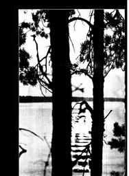 s1981-12-0130