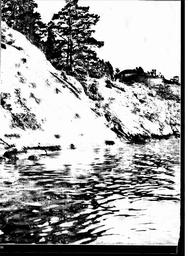 s1981-12-0132