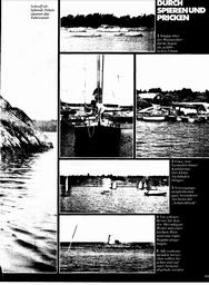 s1981-12-0133