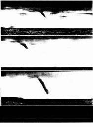 s1981-13-0020