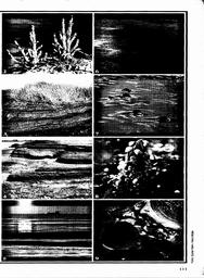 s1981-14-0111