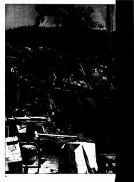 s1981-15-0086