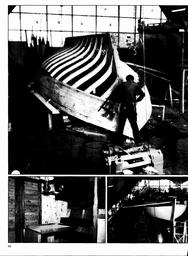 s1981-15-0088