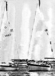 s1981-16-0081