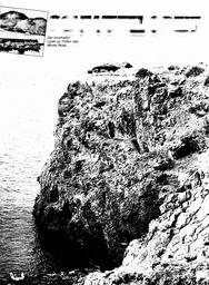 s1981-17-0019