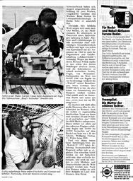 s1981-17-0031