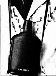 s1981-18-0028