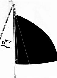 s1981-18-0119