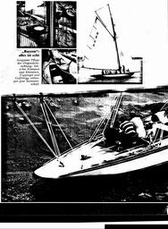 s1981-19-0020