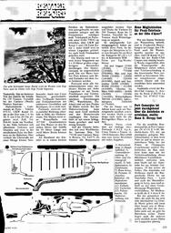 s1981-19-0125