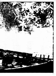 s1982-02-0047