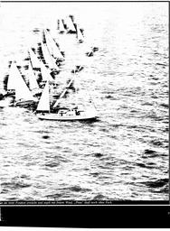 s1982-03-0019