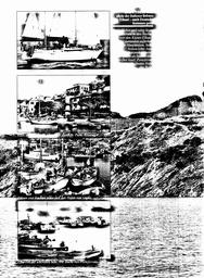 s1982-04-0116