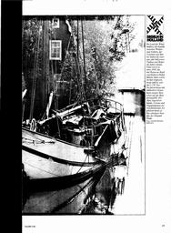 s1982-05-0019
