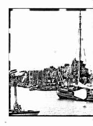 s1982-05-0020