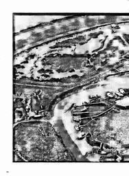 s1982-05-0030