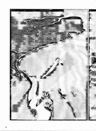s1982-05-0032
