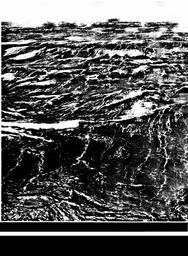 s1982-06-0018