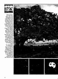 s1982-07-0026