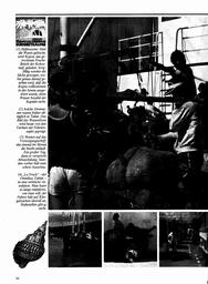 s1982-07-0030