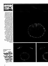 s1982-07-0040