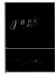 s1982-07-0134